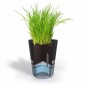GEFU BOTANICO Smart plantepotte Sort Transparent